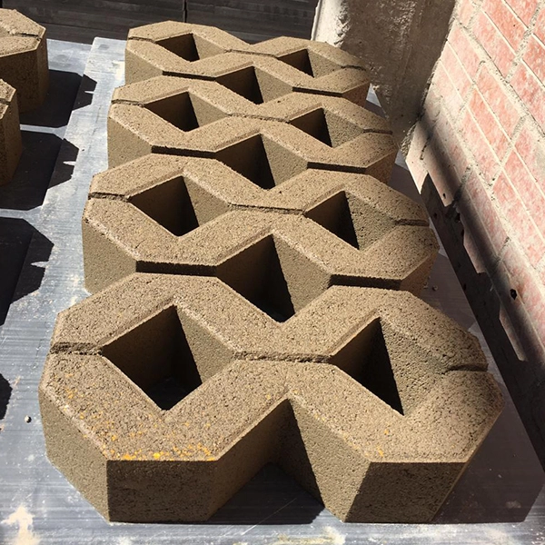 Seccion 6 - imagen 2