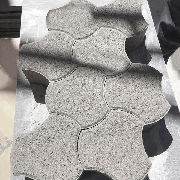 Seccion 6 - imagen 4