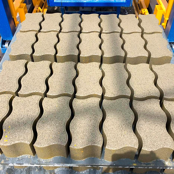 Seccion 6 - imagen 5